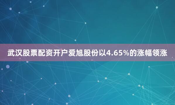 武汉股票配资开户爱旭股份以4.65%的涨幅领涨